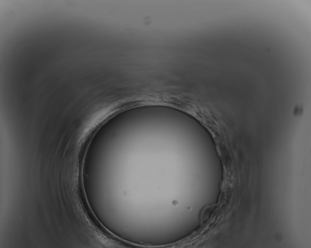 X0000097980005200804011755