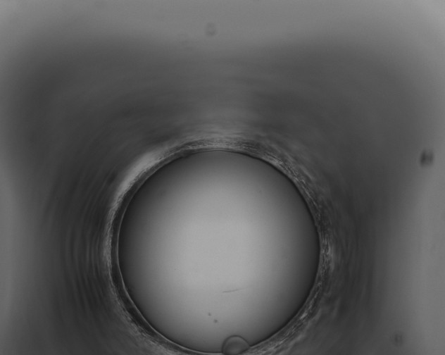 X0000097980006200804011755