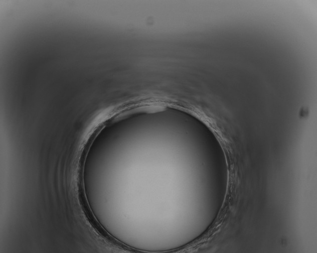 X0000097980007200804011755