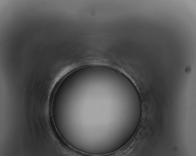 X0000097980008200804011755