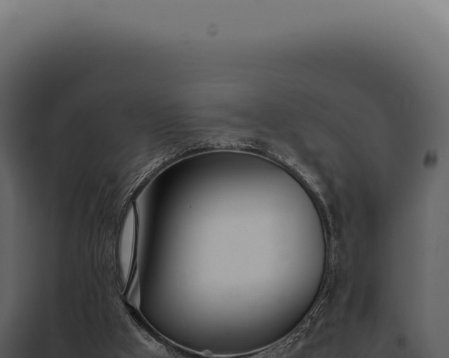 X0000097980009200804011755