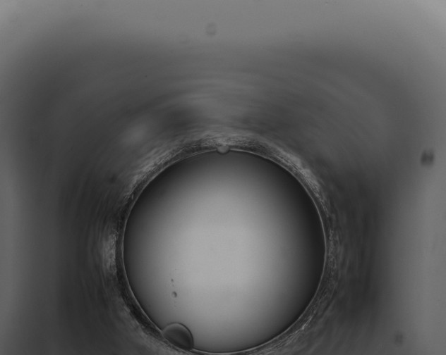 X0000097980010200804011755