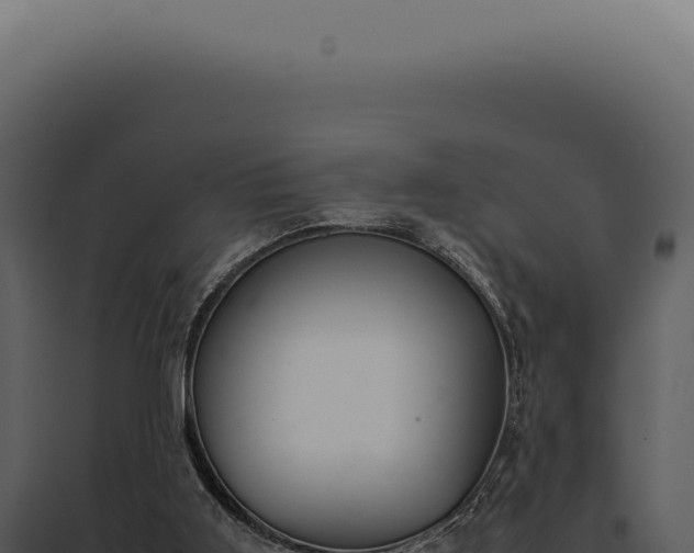 X0000097980011200804011755