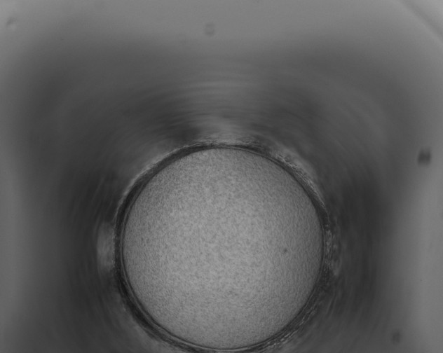 X0000097980012200804011755