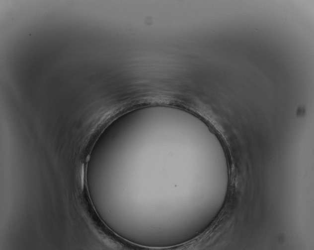 X0000097980013200804011755