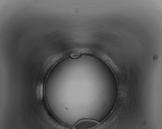 X0000097980014200804011755