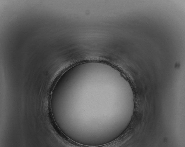 X0000097980015200804011755