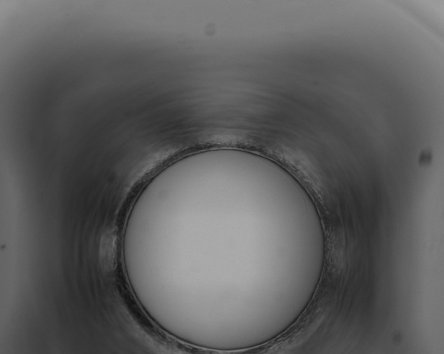 X0000097980016200804011755