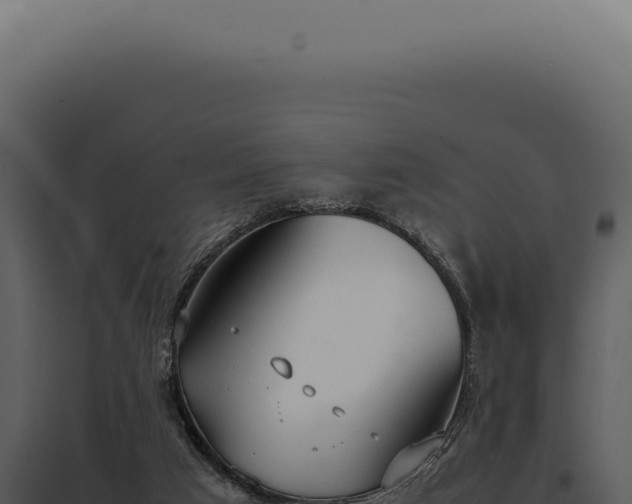 X0000097980017200804011755