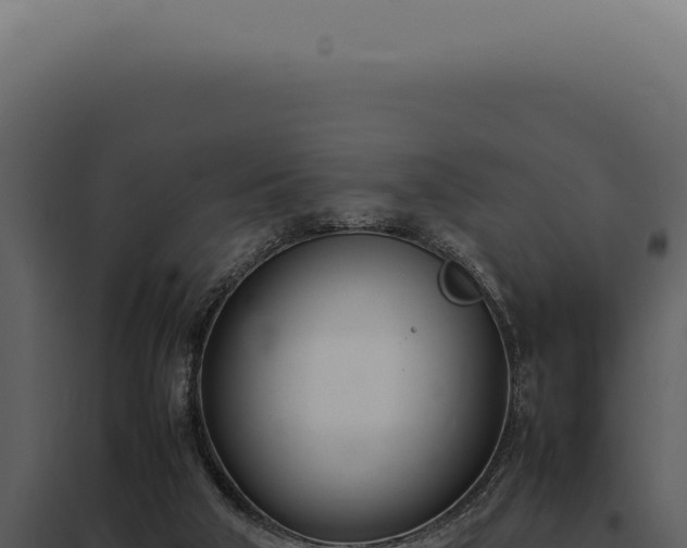 X0000097980018200804011755