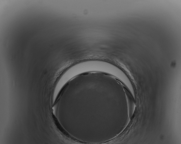 X0000097980019200804011755