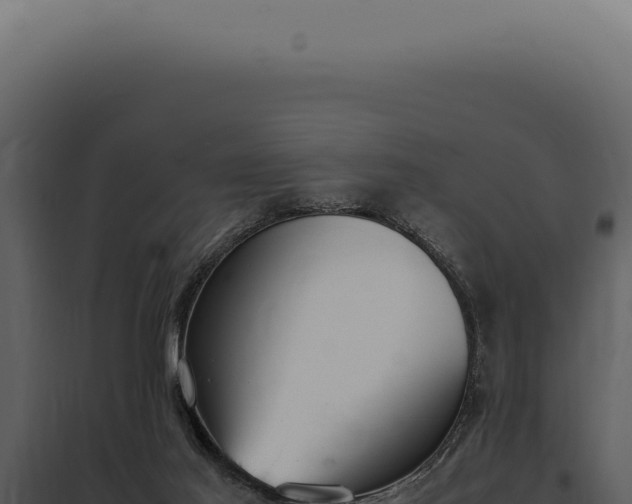 X0000097980021200804011755