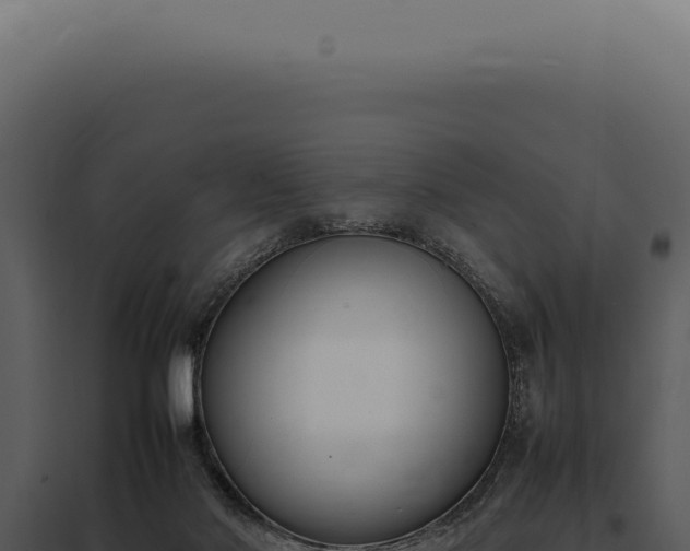 X0000097980022200804011755