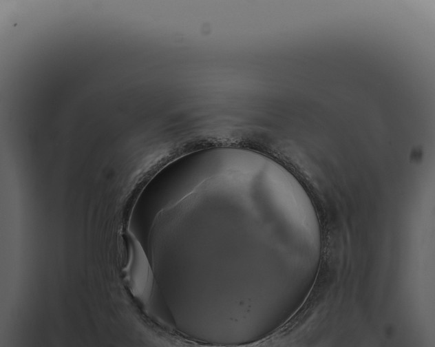X0000097980023200804011755