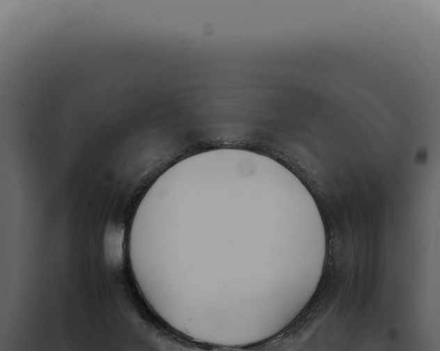X0000097980024200804011755
