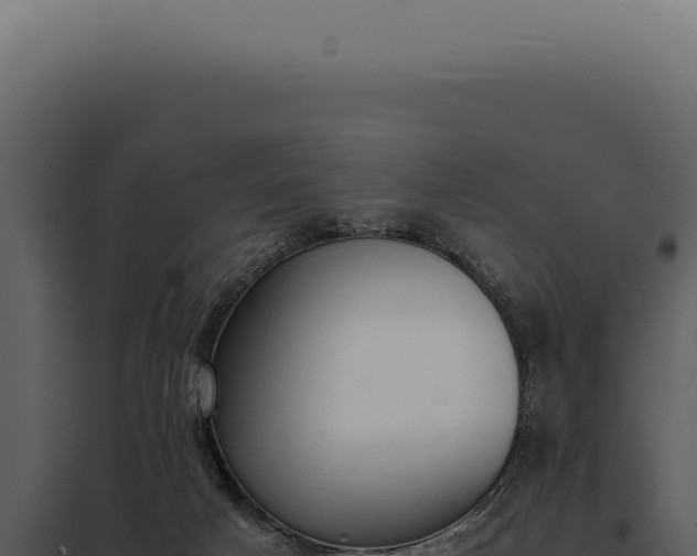 X0000097980025200804011755