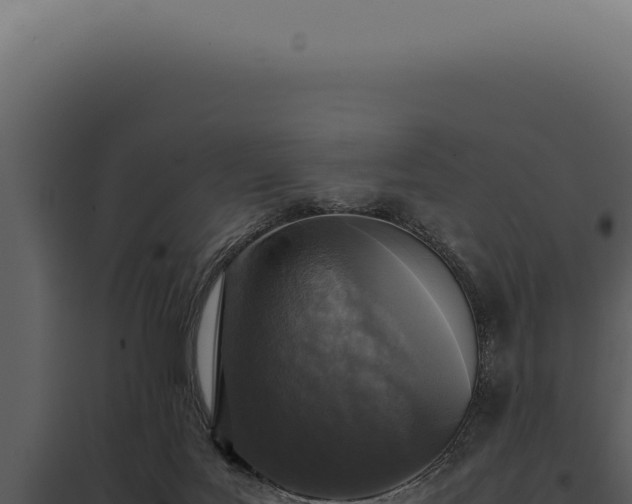 X0000097980027200804011755