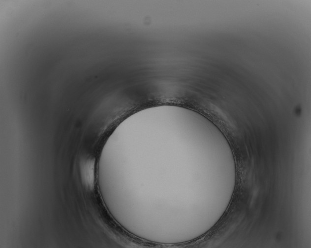 X0000097980028200804011755
