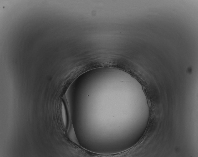 X0000097980029200804011755