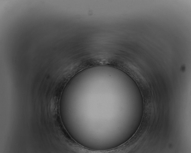 X0000097980030200804011755