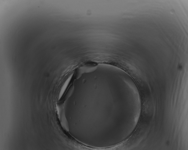 X0000097980031200804011755
