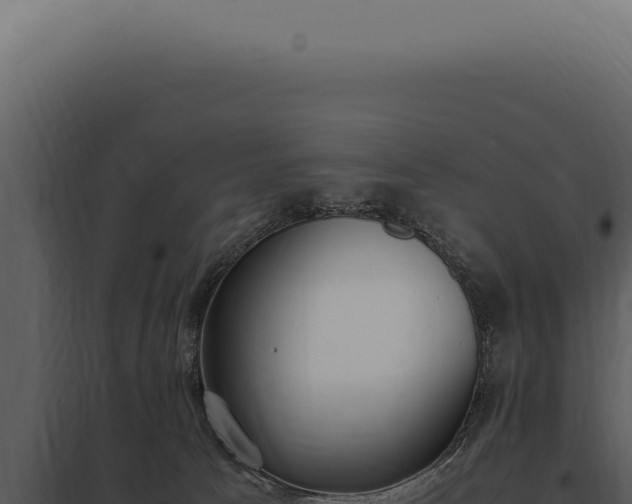 X0000097980033200804011755