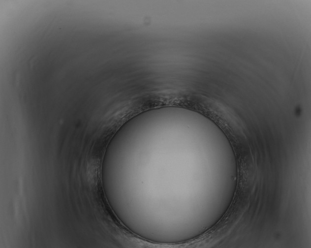 X0000097980034200804011755