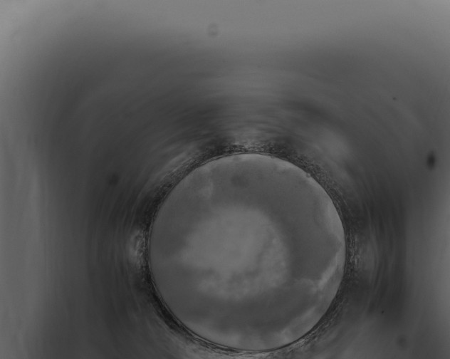 X0000097980036200804011755