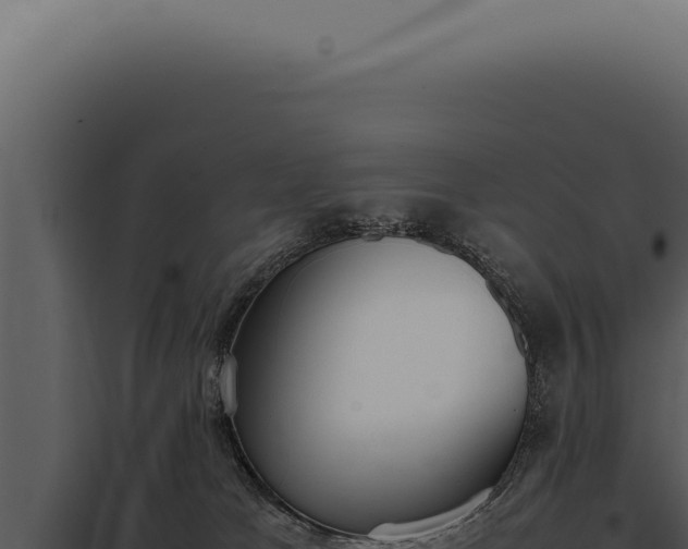 X0000097980037200804011755