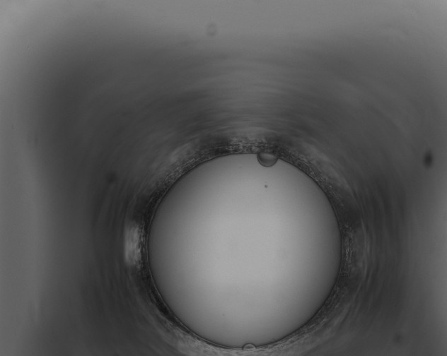 X0000097980038200804011755