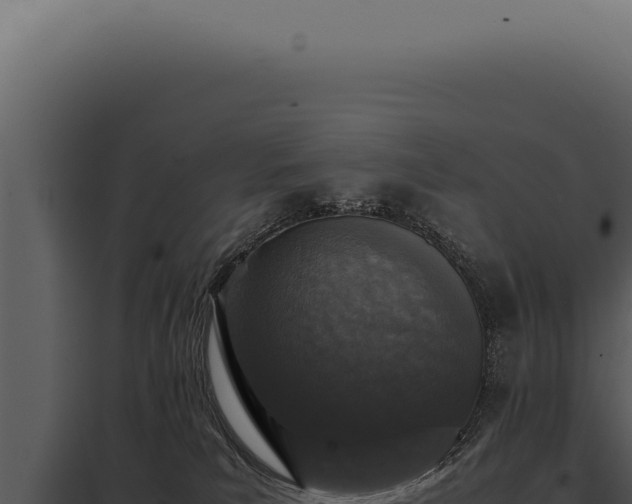 X0000097980039200804011755