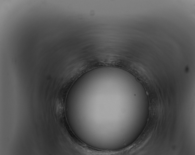 X0000097980040200804011755