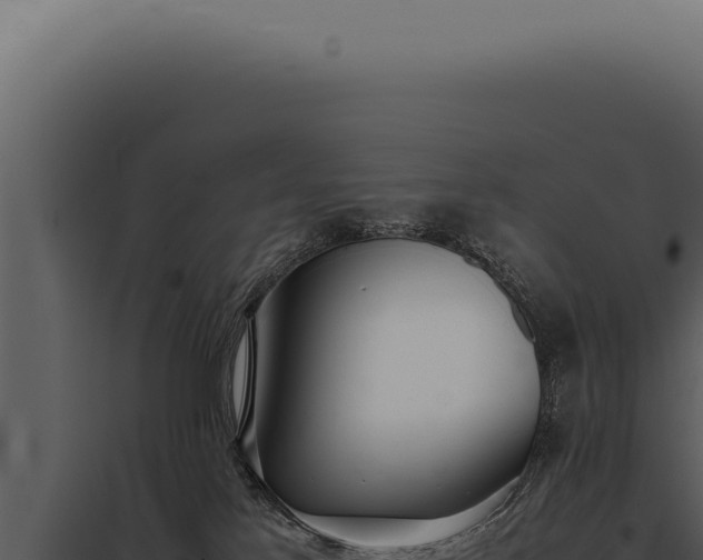 X0000097980041200804011755