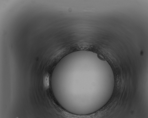 X0000097980042200804011755