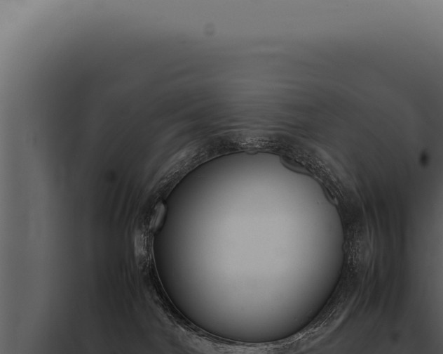 X0000097980044200804011755