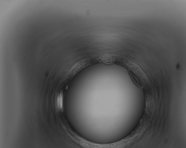 X0000097980046200804011755