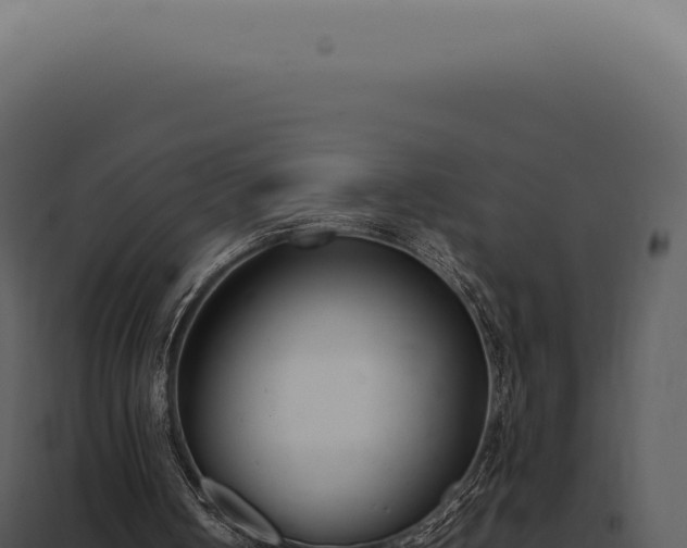 X0000097980050200804011754