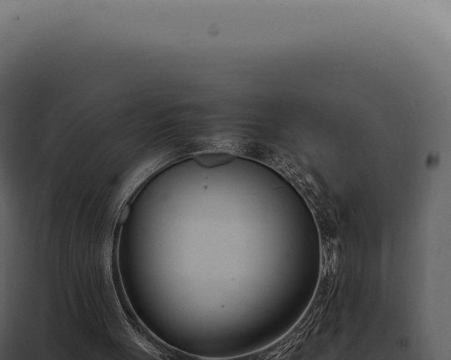 X0000097980051200804011754
