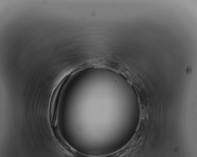 X0000097980052200804011754