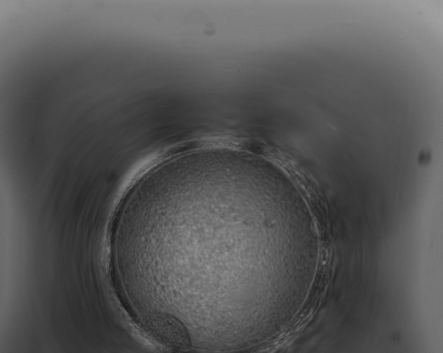 X0000097980053200804011754