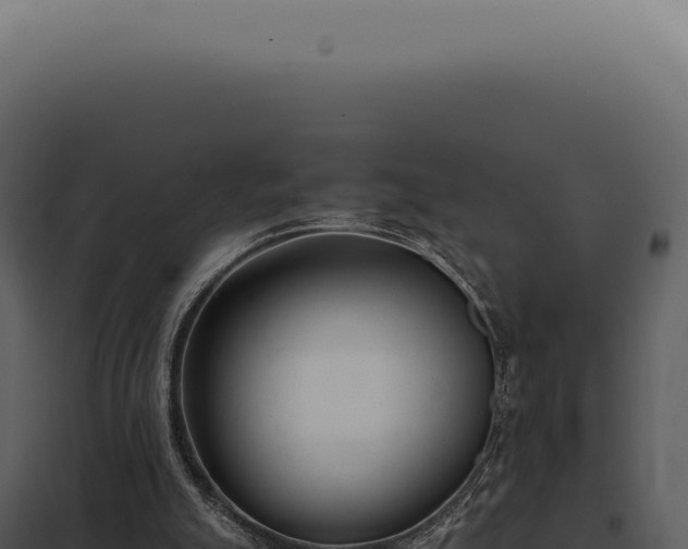 X0000097980055200804011754