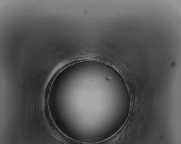 X0000097980056200804011754