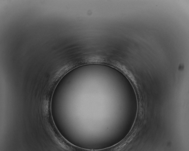 X0000097980057200804011754