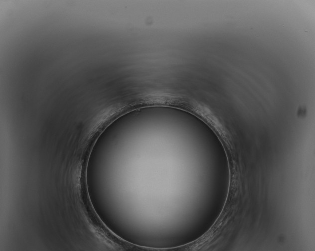 X0000097980058200804011754