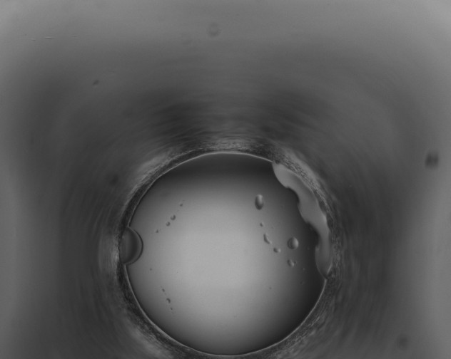 X0000097980059200804011754