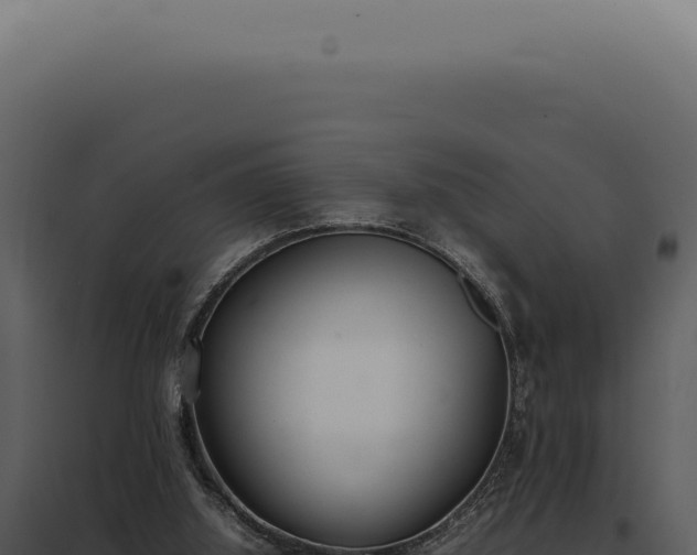 X0000097980060200804011754
