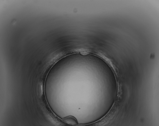X0000097980061200804011754