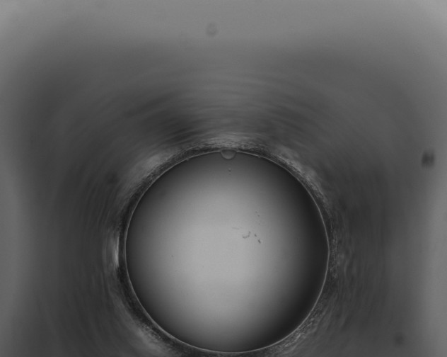 X0000097980062200804011754