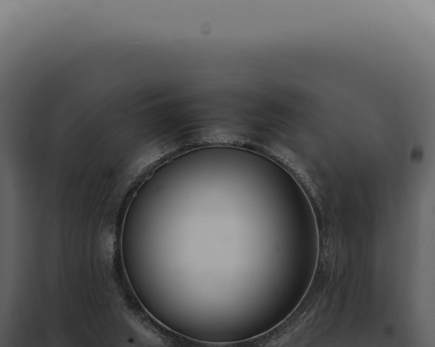 X0000097980063200804011754