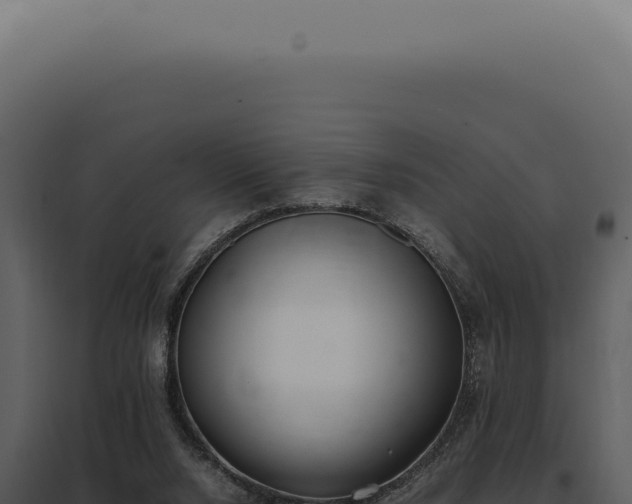 X0000097980064200804011754